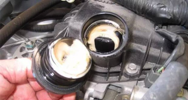 1517292325971614.jpg 1.jpg