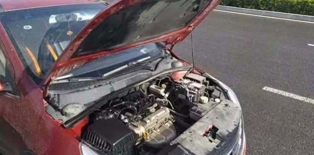 1529889578270067.jpg 1.jpg