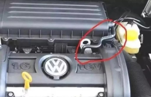 1531967581107966.jpg 5.jpg